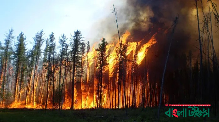 কানাডার ব্রিটিশ কলাম্বিয়ায় জরুরি অবস্থা জারি